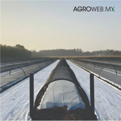 MOLPI.MX 1.40 Anti Granizo Crystal 