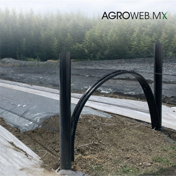 Invernaderos  Hidropónicos Inteligentes